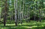 Продаю земельный участок под строительство усадьбы (5 фотографий)